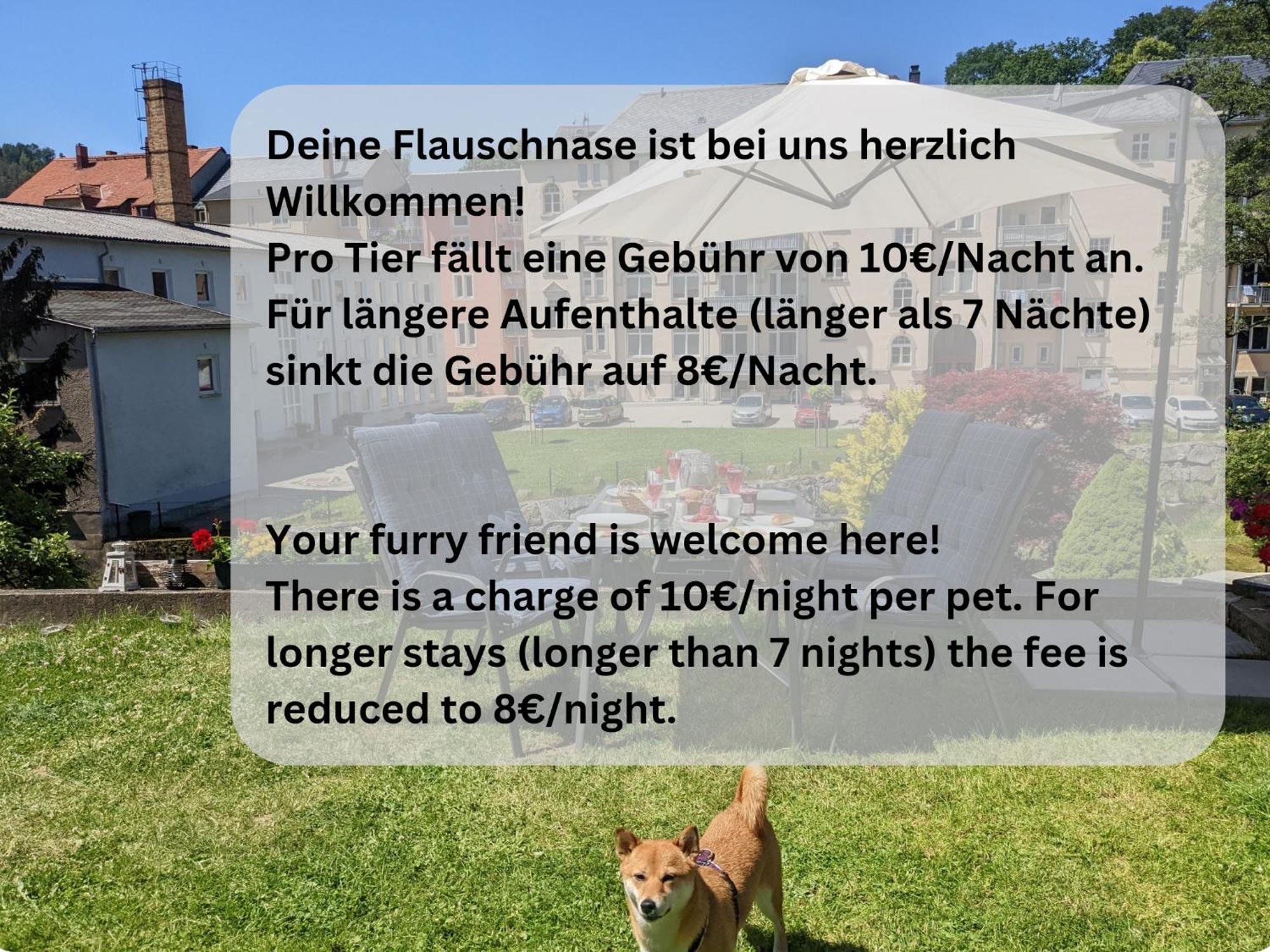 F4 - Urlaubsmagie - Grosse Wohnung Fuer Bis Zu 10 Personen Зебниц Екстериор снимка